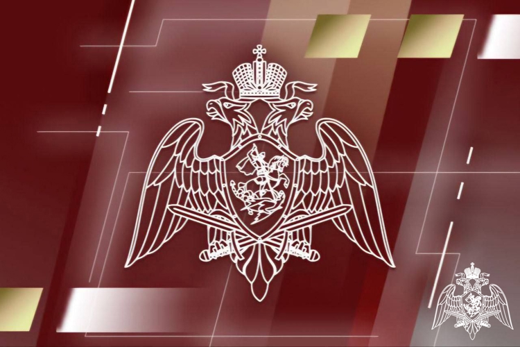 Росгвардия обеспечила безопасность во время празднования Крещения Господня по всей России